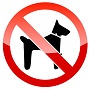 no dog